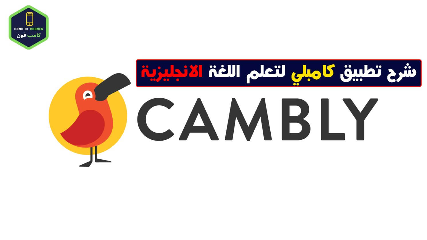 تحميل تطبيق كامبلي Cambly لتعلم اللغة الانجليزية من الصفر بالفيديو